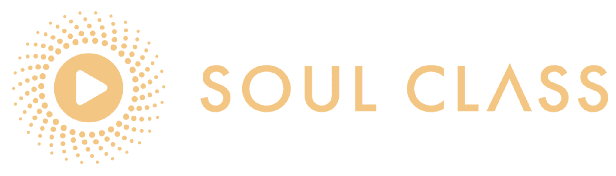 소울 클래스 아이콘